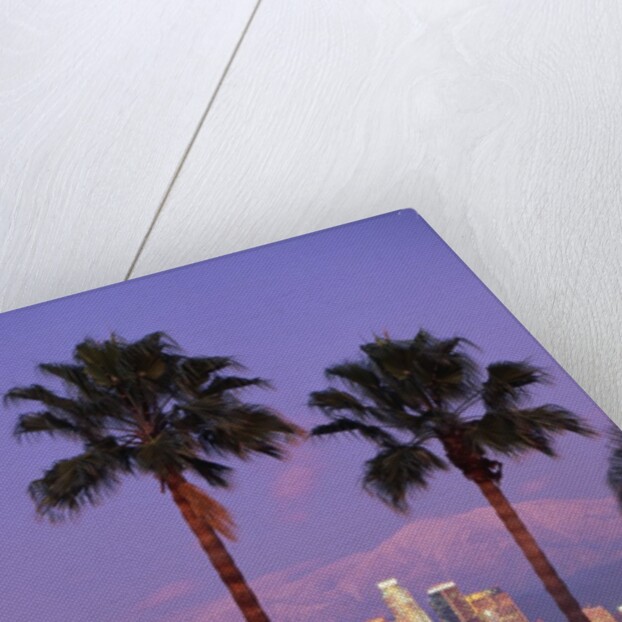 Two Palm Trees with Distant Los Angeles by Anonymous