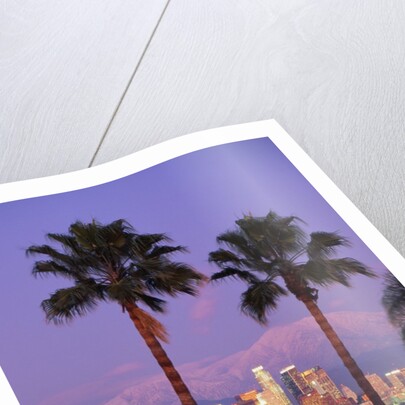 Two Palm Trees with Distant Los Angeles by Anonymous