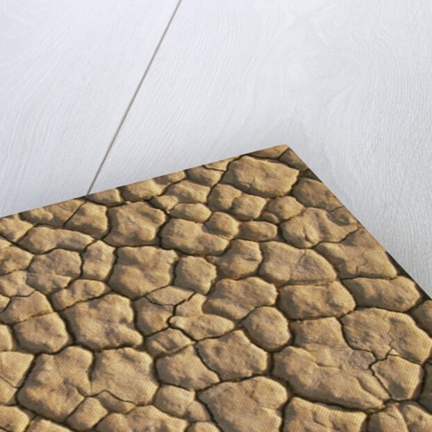 Cracked, Dry Lake Bottom Pattern in Death Valley by Anonymous