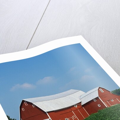 Barn and Corn Field by Anonymous