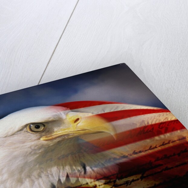Bald Eagle Head and American Flag by Anonymous