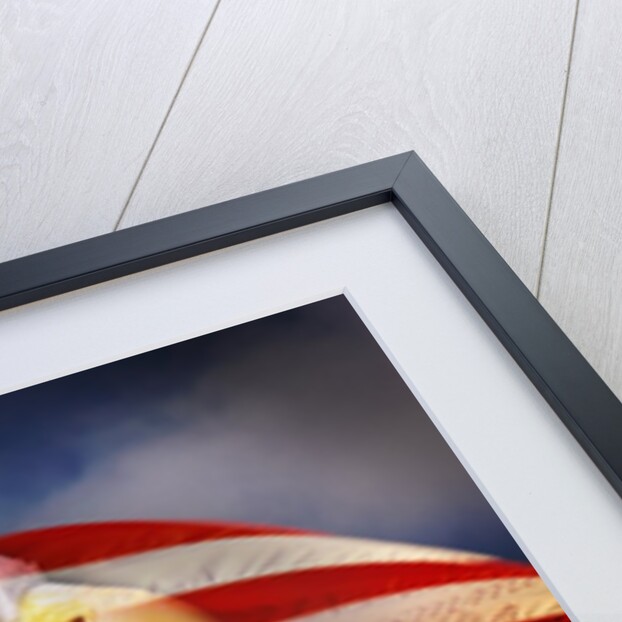 Bald Eagle Head and American Flag by Anonymous