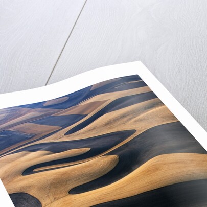 Wheat Fields of the Palouse Hills by Anonymous