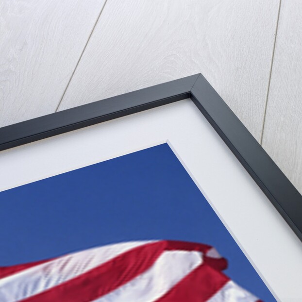 American Flag Blowing in the Wind by Anonymous