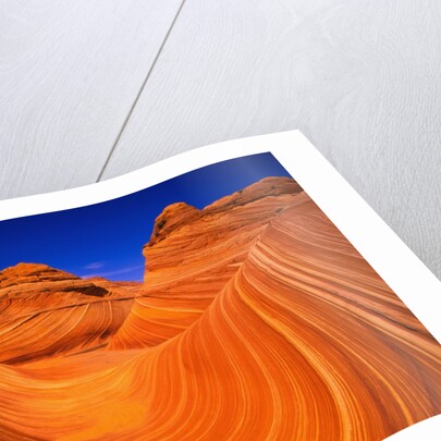 Coyote Butte's Sandstone Stripes by Anonymous
