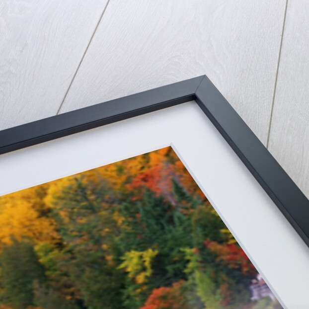 Tahquamenon Falls in Autumn by Anonymous