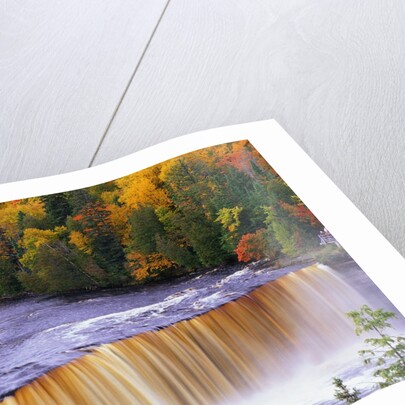 Tahquamenon Falls in Autumn by Anonymous