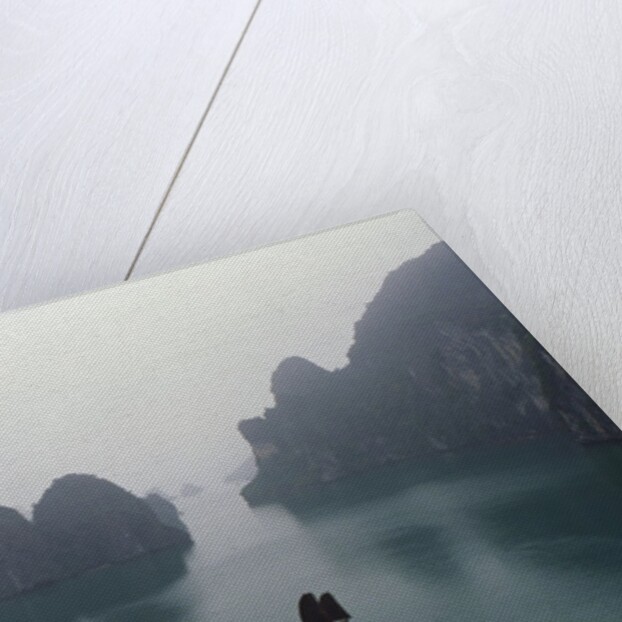 Junks in Ha Long Bay by Anonymous
