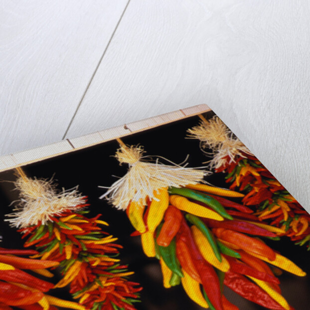 Hanging Chili Peppers by Anonymous