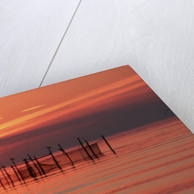 Silhouetted Fishing Net at Sunset by Anonymous