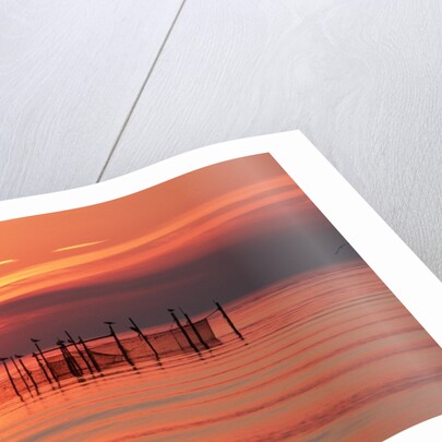 Silhouetted Fishing Net at Sunset by Anonymous