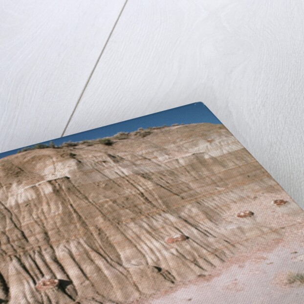 Badlands in Theodore Roosevelt National Park by Anonymous