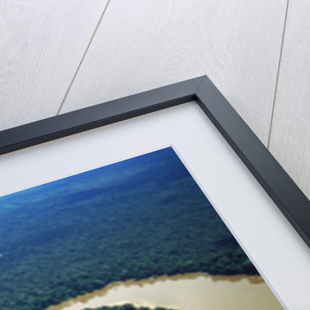 Meandering Tigre River by Anonymous