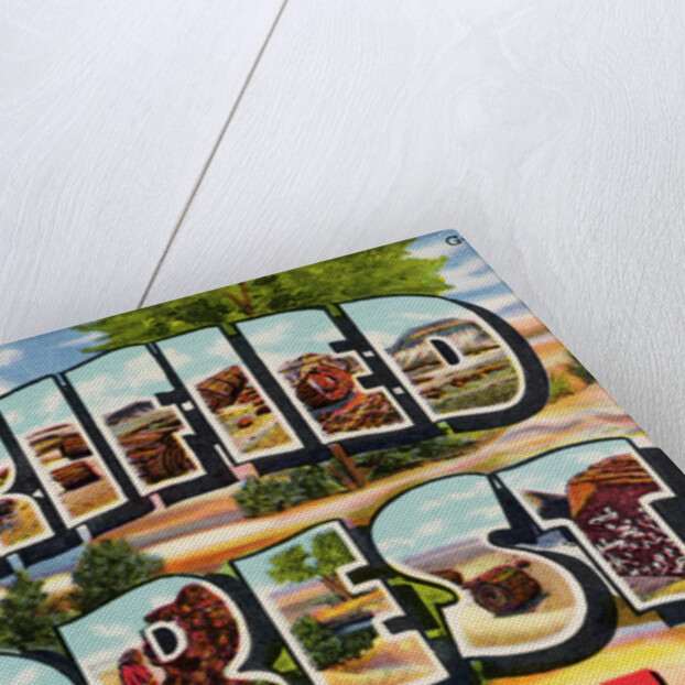 Greetings from Petrified Forest, Arizona Postcard by Anonymous