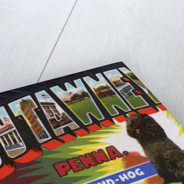 Greeting Card from Punxsutawney, Pennsylvania by Anonymous