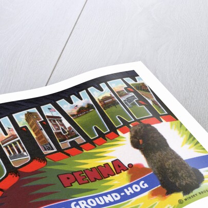 Greeting Card from Punxsutawney, Pennsylvania by Anonymous