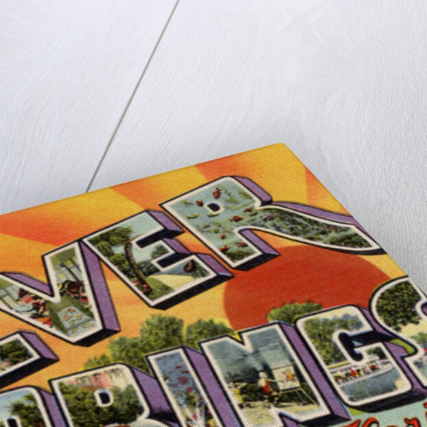 Greeting Card from Silver Springs, Florida by Anonymous