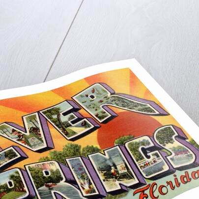 Greeting Card from Silver Springs, Florida by Anonymous