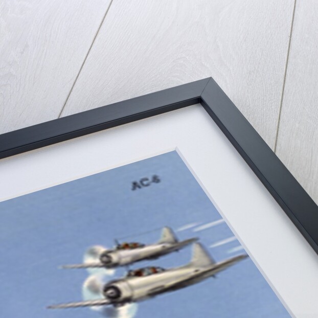 Dive Bombing Planes by Anonymous