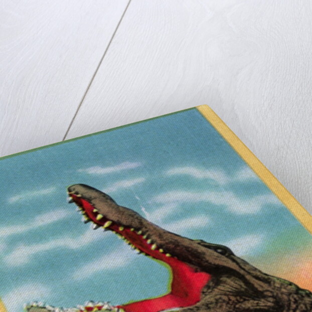 Drop in Any Time in Florida Postcard by Anonymous