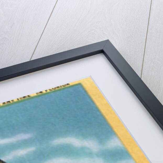 Drop in Any Time in Florida Postcard by Anonymous