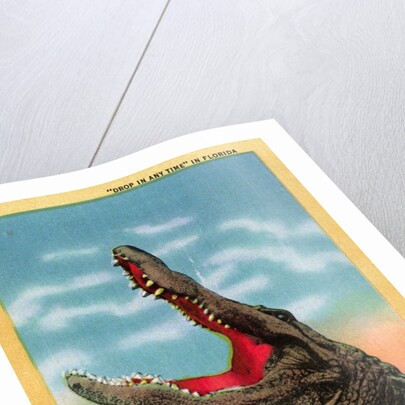 Drop in Any Time in Florida Postcard by Anonymous