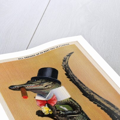 Postcard of Alligator in Top Hat and Bow Tie by Anonymous