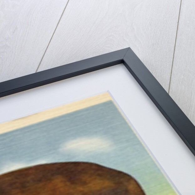 Giant Potato on a Train Car by Anonymous