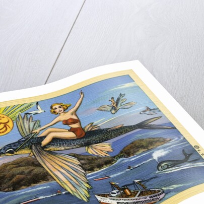 Greeting Card from Santa Catalina Island by Anonymous
