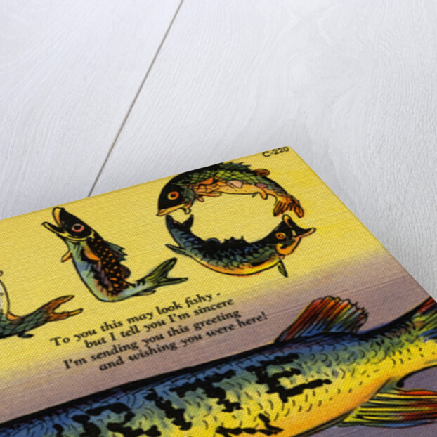 Fish Greeting Card by Anonymous