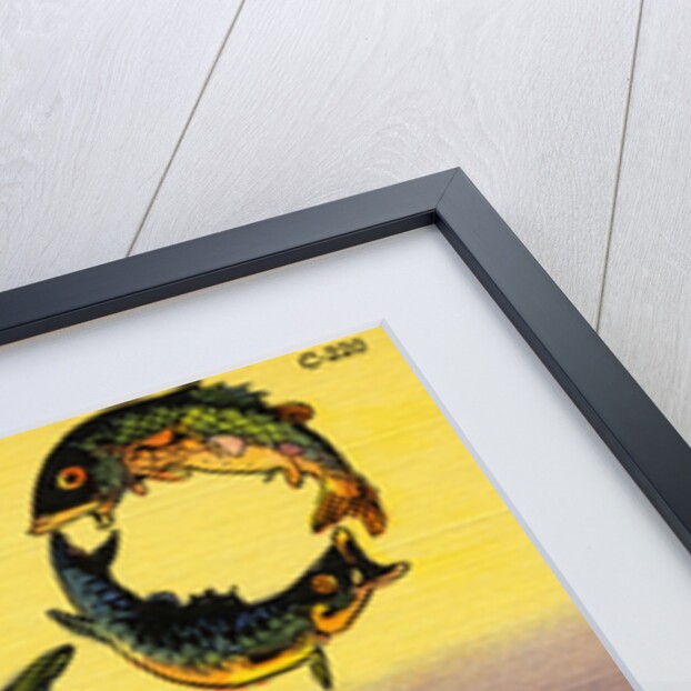 Fish Greeting Card by Anonymous