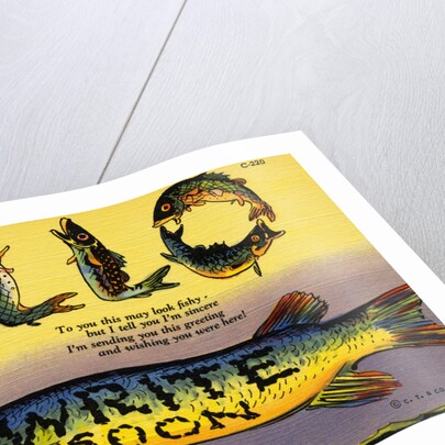 Fish Greeting Card by Anonymous