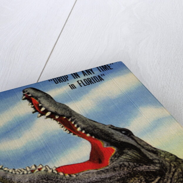 Drop in Any Time in Florida Postcard by Anonymous