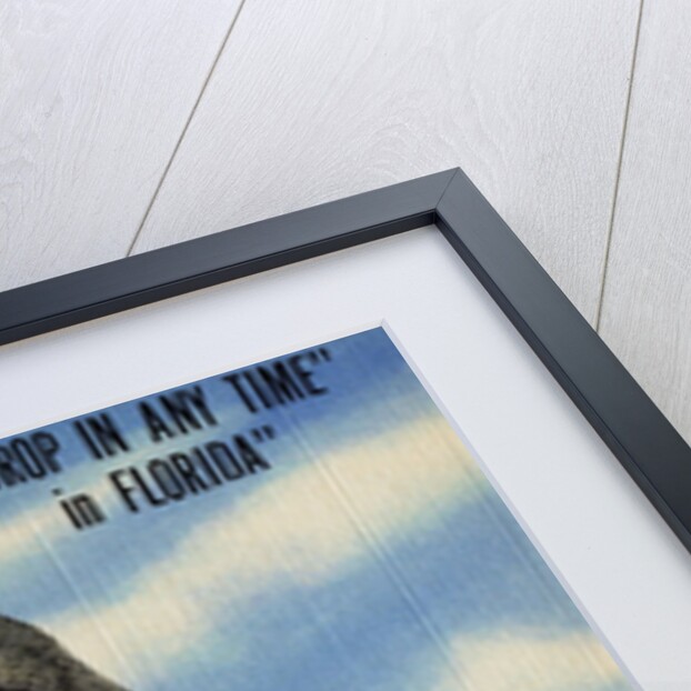 Drop in Any Time in Florida Postcard by Anonymous