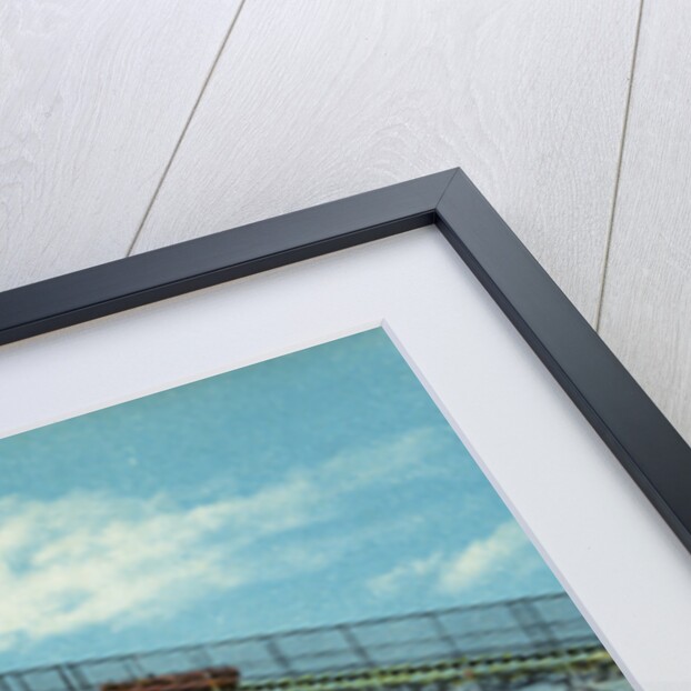 Giant Coaster, Brighton Beach N.Y. Postcard by Anonymous