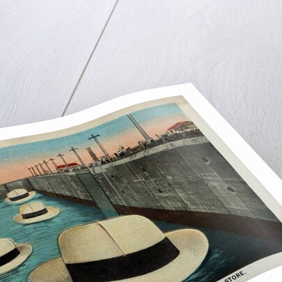 Postcard of Hats Floating Through Gatun Locks by Anonymous