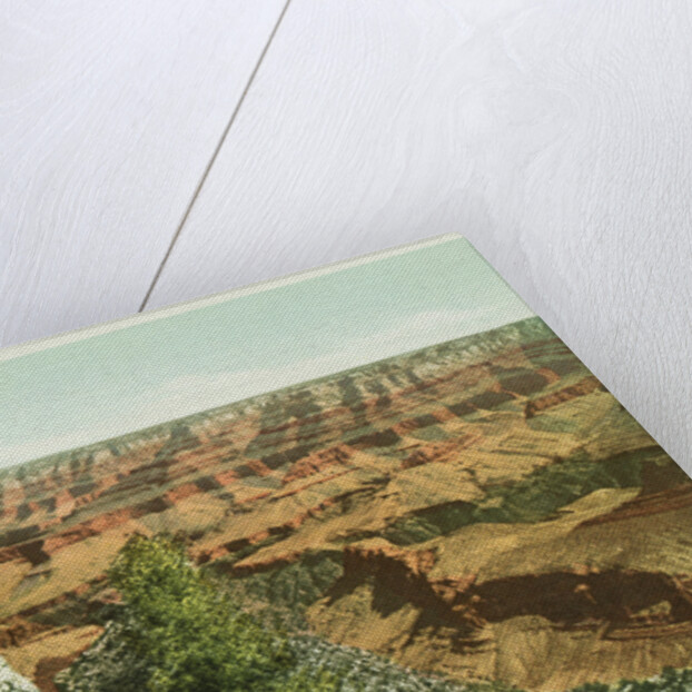 Grand Canyon of Arizona, from Grand View Point Postcard by Anonymous