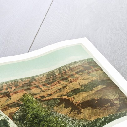 Grand Canyon of Arizona, from Grand View Point Postcard by Anonymous