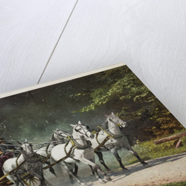 An Adirondack Mountain Stage Postcard by Anonymous