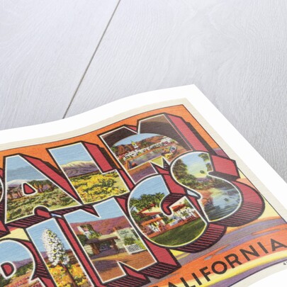 Greetings from Palm Springs Postcard by Anonymous