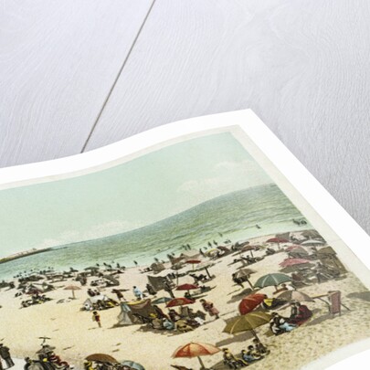 Along the Shore, Venice, California Postcard by Anonymous