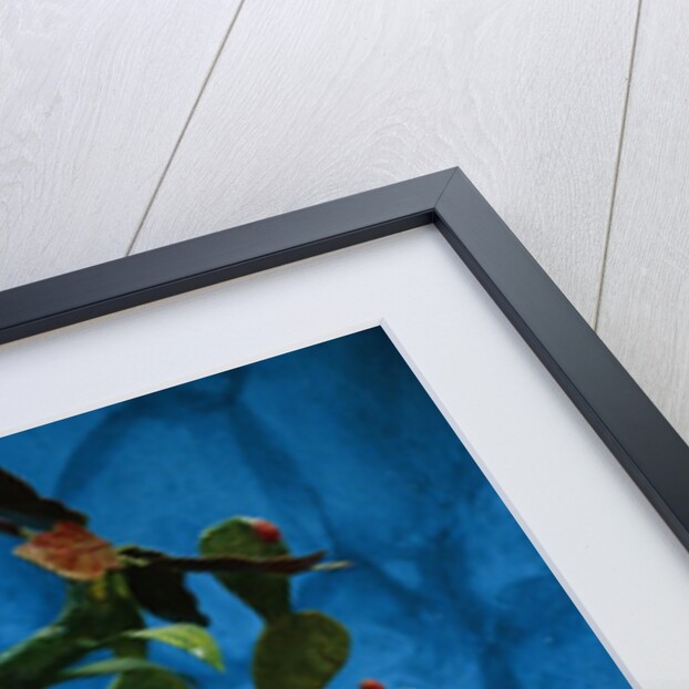 Day of the Dead Skeleton by Anonymous