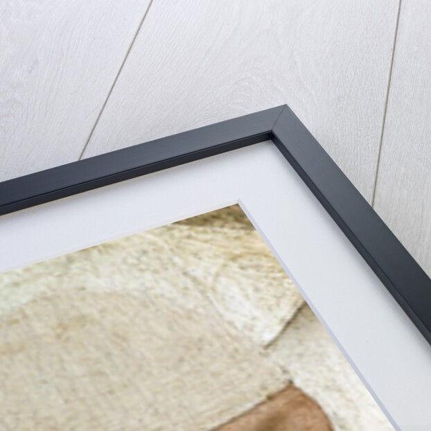 Detail of Portrait of a Young Woman by Rogier van der Weyden