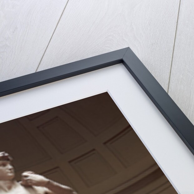 David by Michelangelo