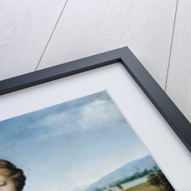 Madonna of the Meadow by Raphael