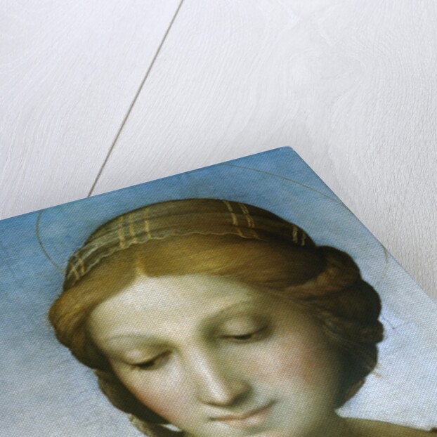 Detail of Madonna of the Meadow by Raphael
