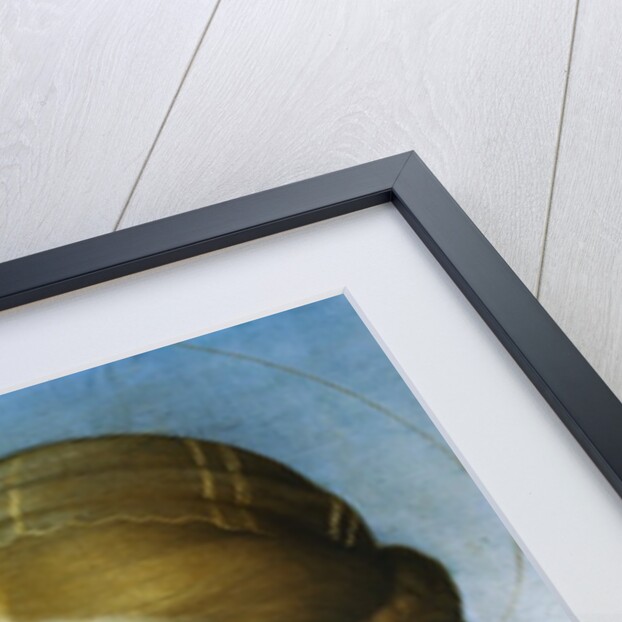 Detail of Madonna of the Meadow by Raphael