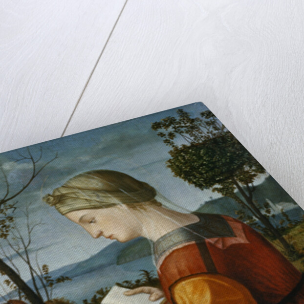 The Virgin Reading by Vittore Carpaccio