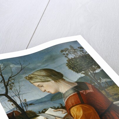 The Virgin Reading by Vittore Carpaccio