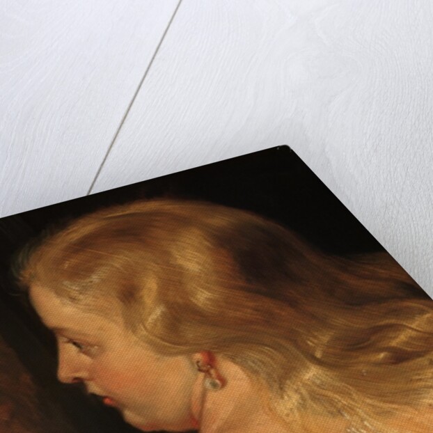 Detail of The Toilet of Venus by Peter Paul Rubens